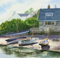 Seabirds in Harbour Thumbnail